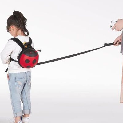 Supercute Custom 3d Eva Child School Bag Kids Ladybug Anti Lost Backpack For Children